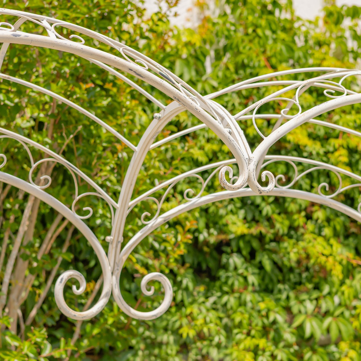Close-up of curved antique-white metal rails with decorative curls against leafy greenery.