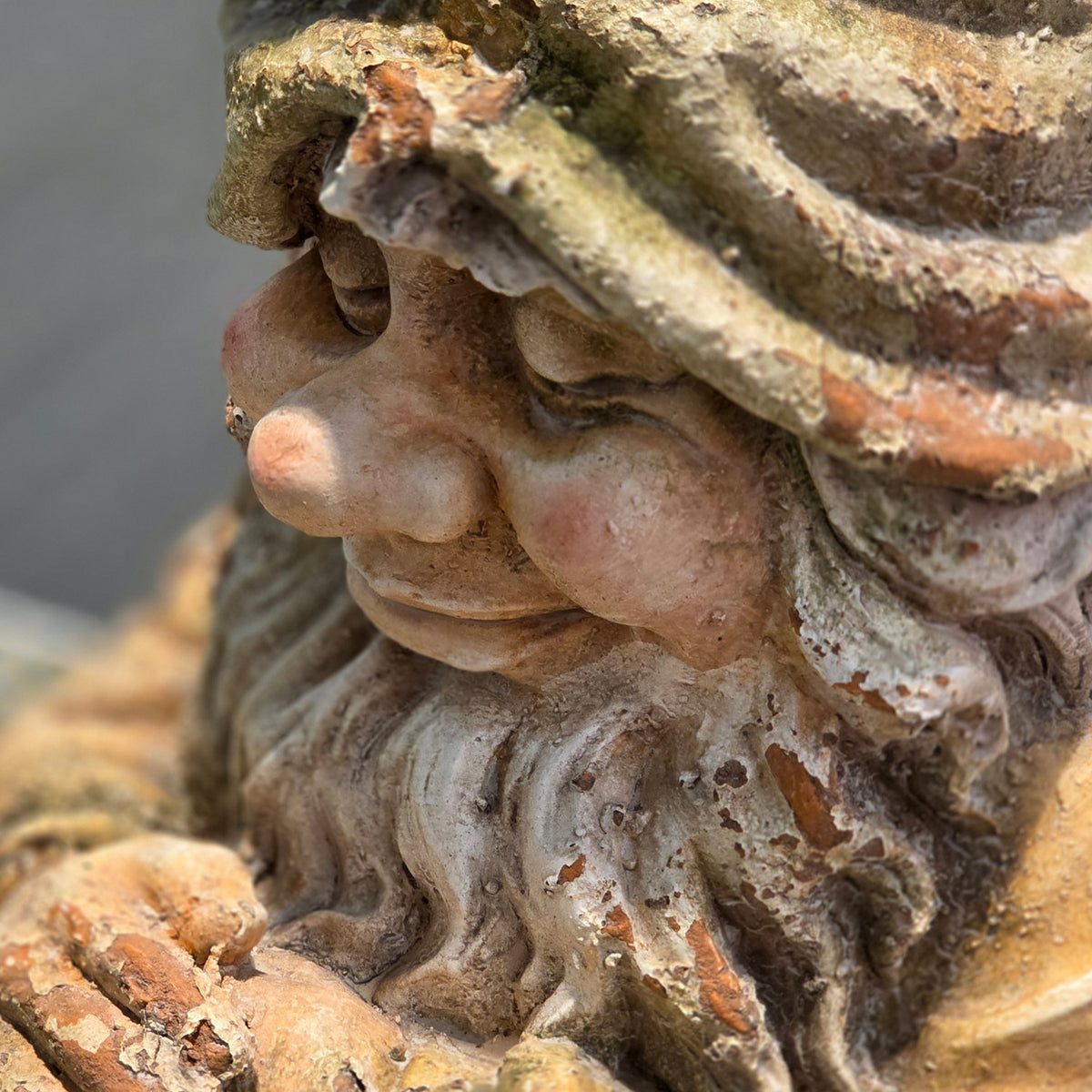 Close-up of the sleeping gnome's face and textured beard