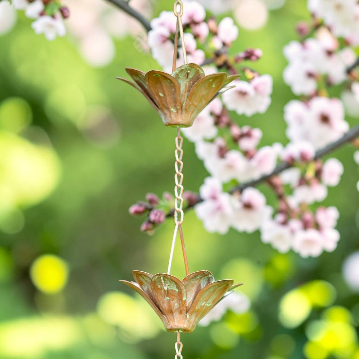 Antique copper flower-shaped rain chain hanging among pink blossoms and green foliage.