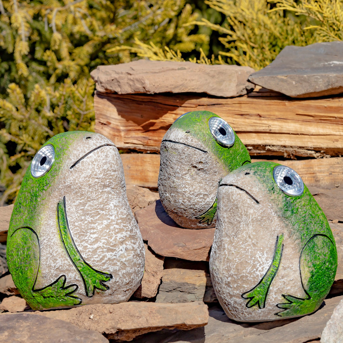 Set of 3 Solar Rock Frogs with Light Up Eyes