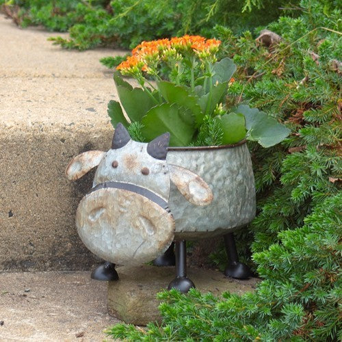 Set of 6 Assorted Galvanized Animal Planters