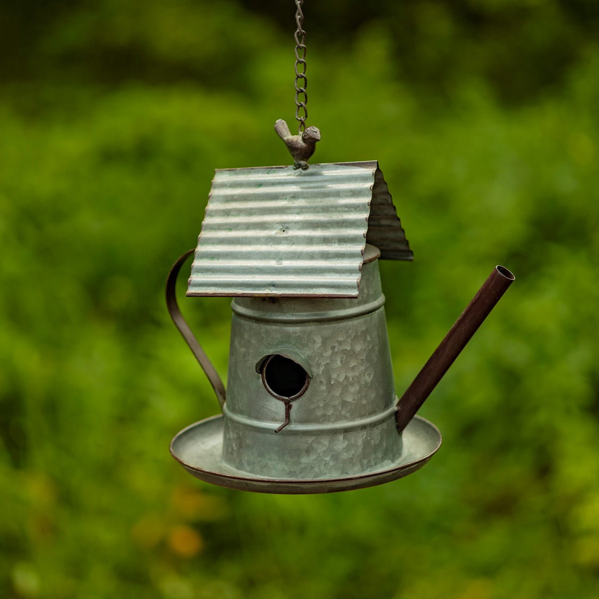 Metal birdhouse with a pitched roof, long angled spout, round entrance, and curved handle, suspended by a chain.