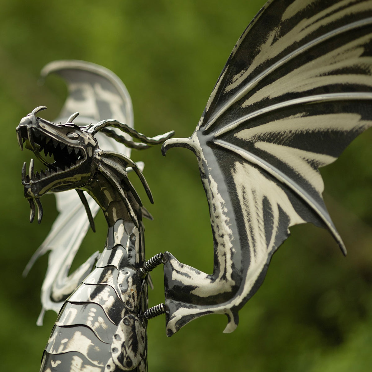 Close-up of the dragon’s open-mouthed head, textured body, and broad patterned wings.