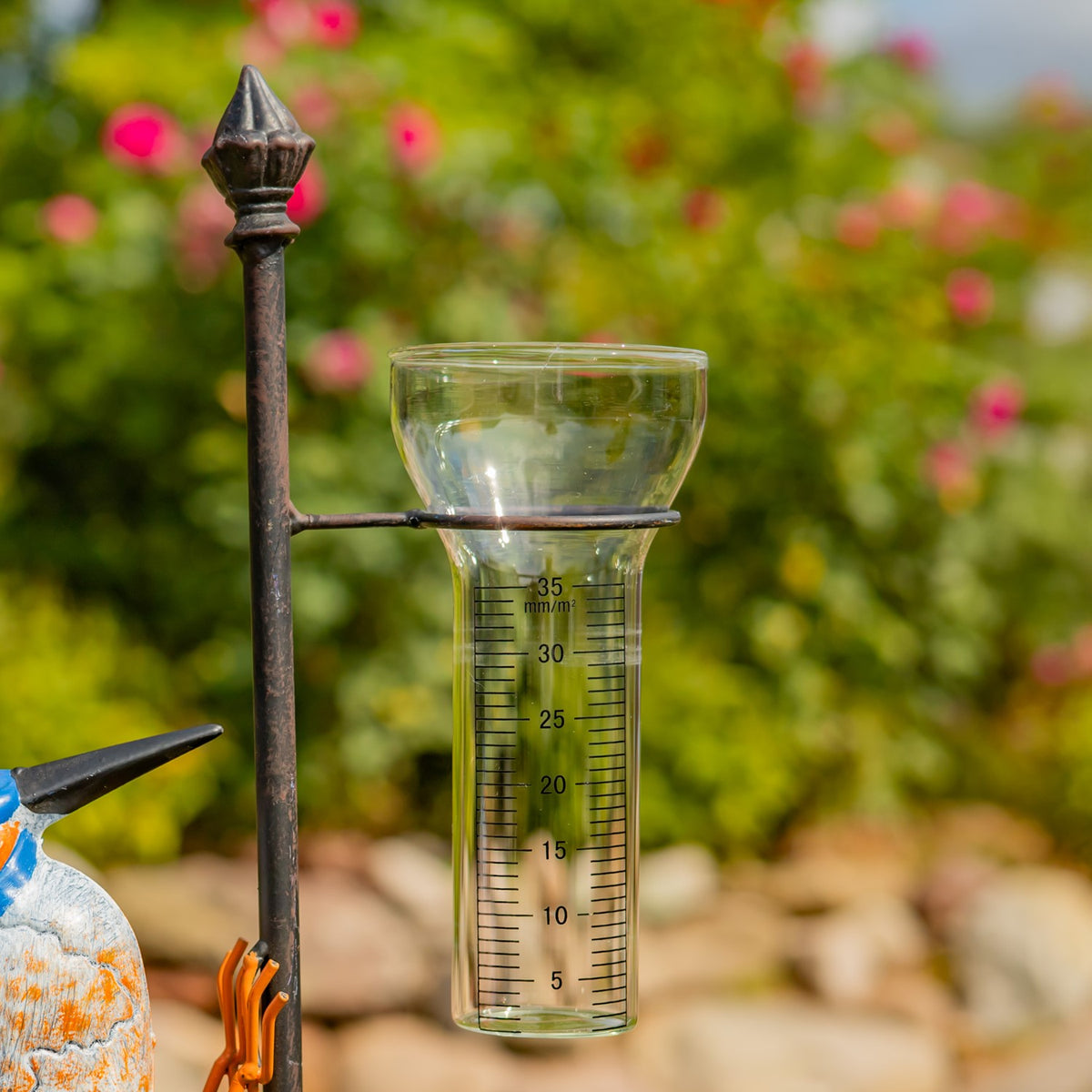 Glass rain gauge markings beside the iron stake and partial bird view