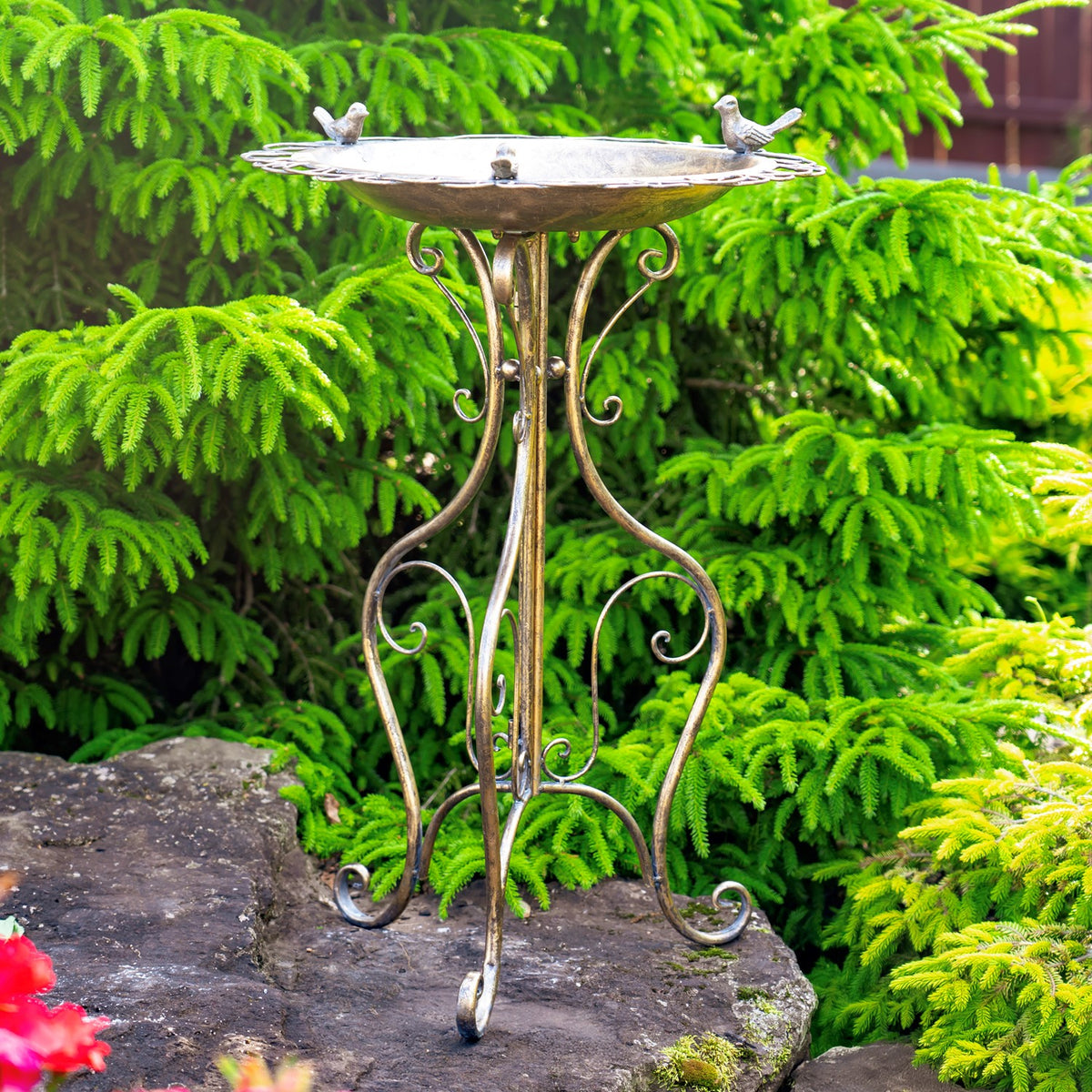 Full side view of the birdbath on its ornate curled-leg stand beside evergreen branches.