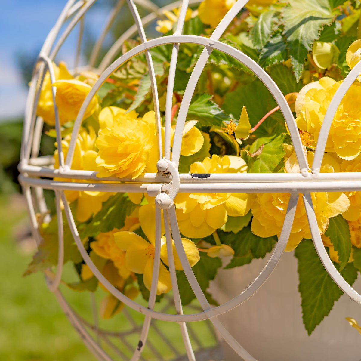 Set of 2 Iron Globe Plant Stands