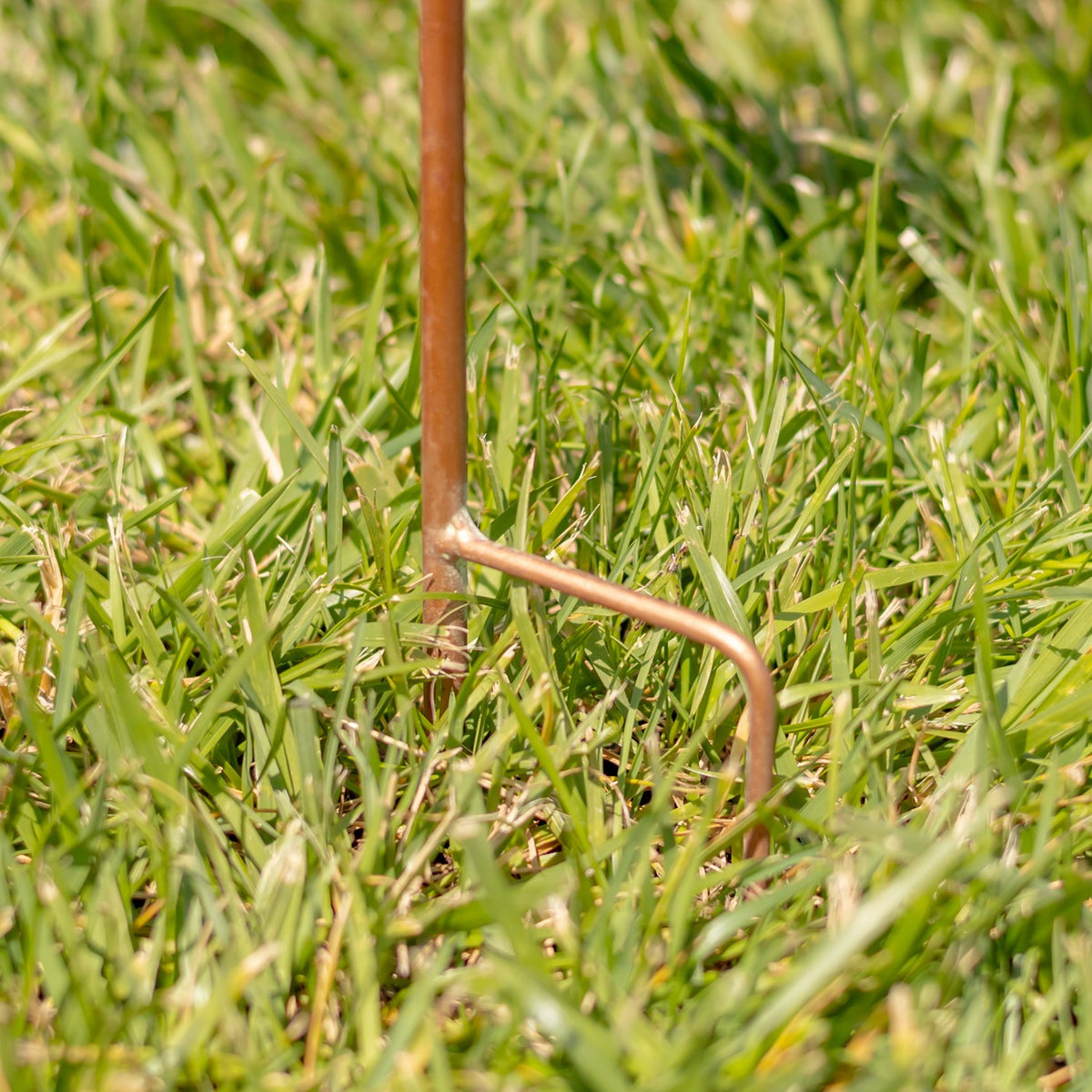 Copper-colored metal stake bends into a hooked point pressed into green grass.
