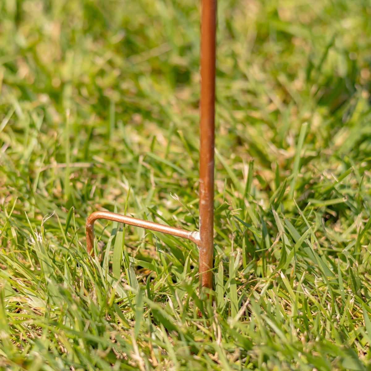 Close-up of the copper-toned stake and bent foot pressed into grass.