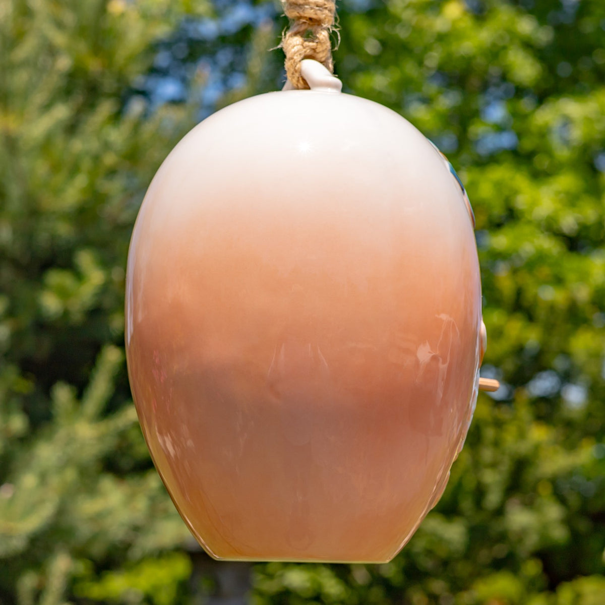Plain peach-colored back of the egg-shaped birdhouse hanging by a twisted rope outdoors.