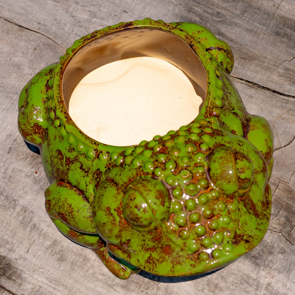 17" Hand Painted Ceramic Frog Planter "Rayne"