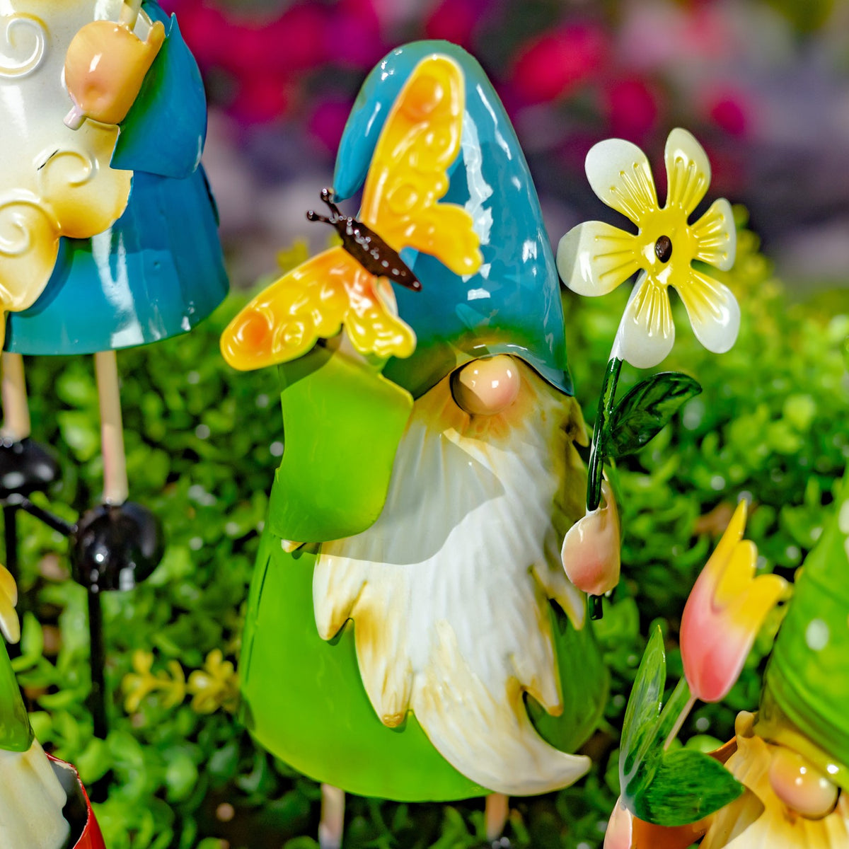 Blue-hatted gnome with a butterfly and flower, shown among leafy ground cover.
