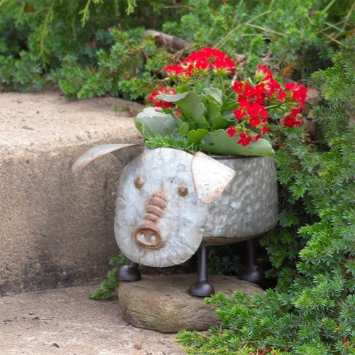 Set of 6 Assorted Galvanized Animal Planters