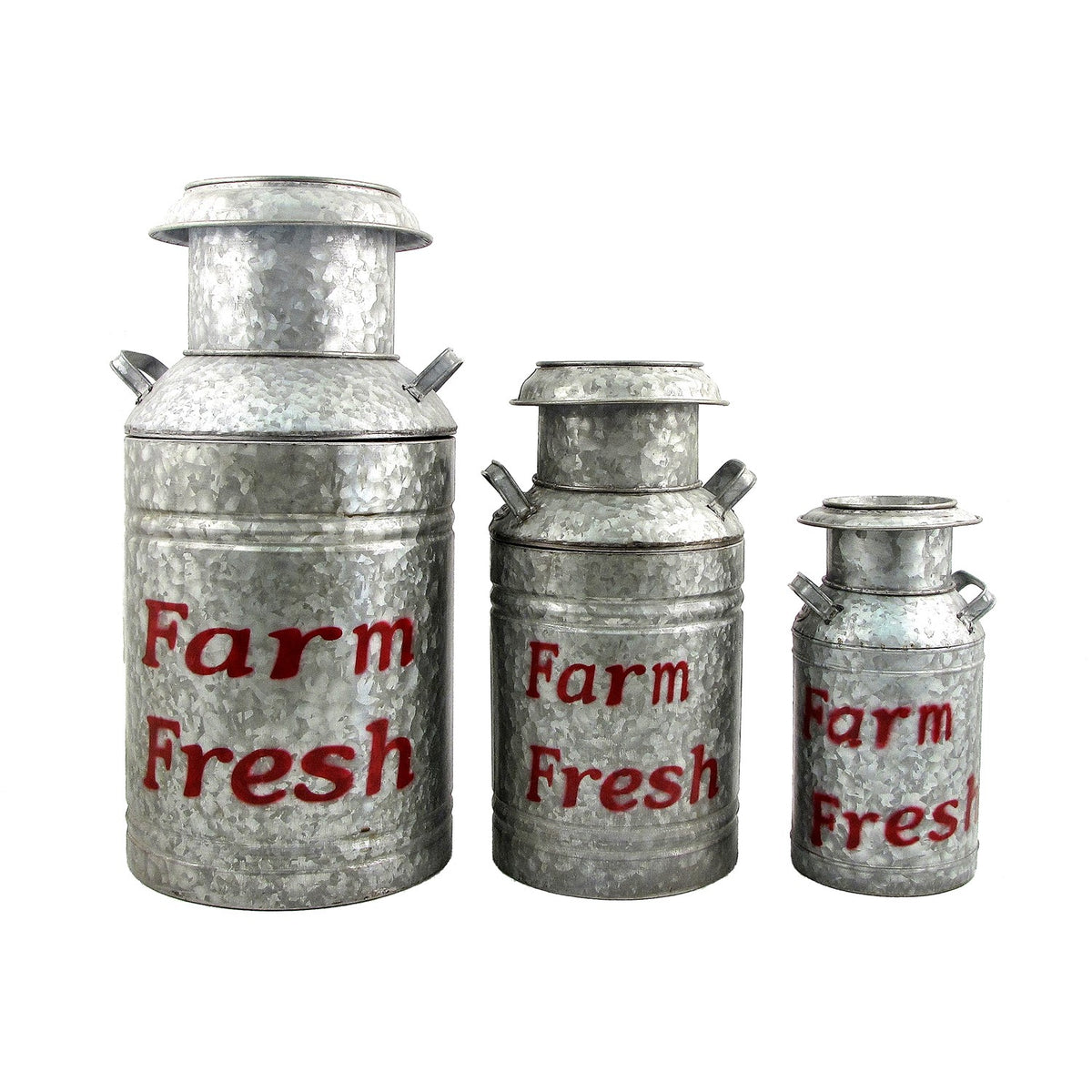 Three galvanized milk-jug planters in graduated sizes stand side by side against white.
