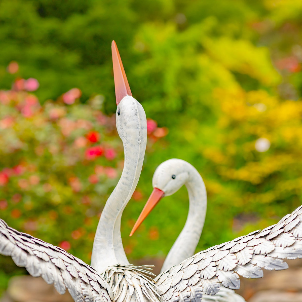 Two white herons pose with outstretched layered wings against a garden backdrop.