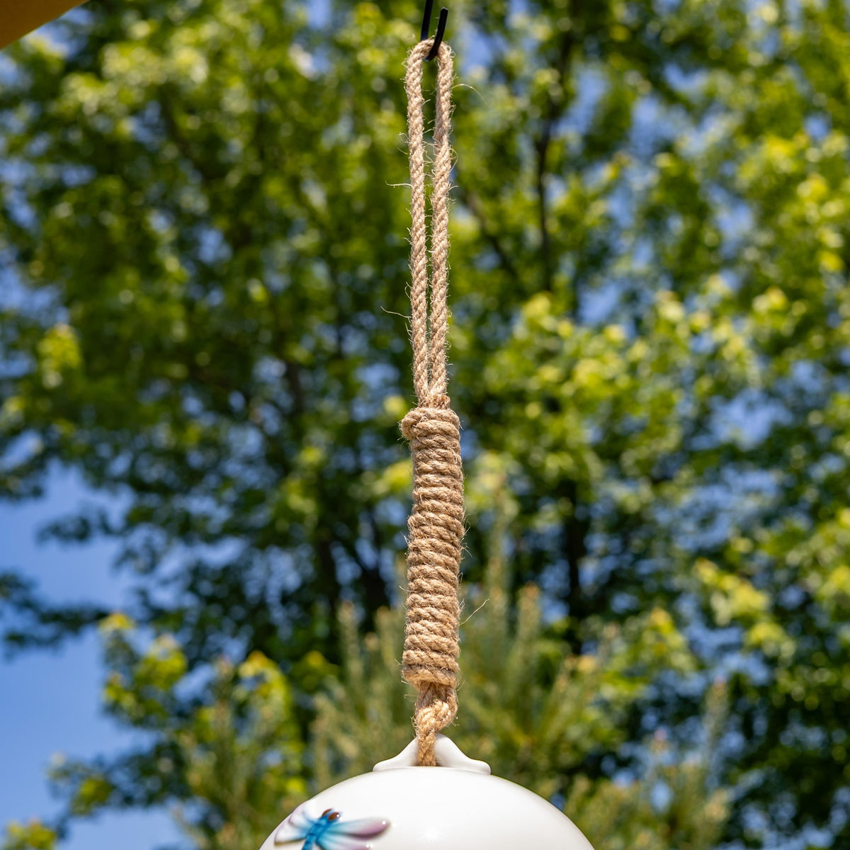 Rope hanger and upper portion of the birdhouse, with part of a colorful dragonfly visible.