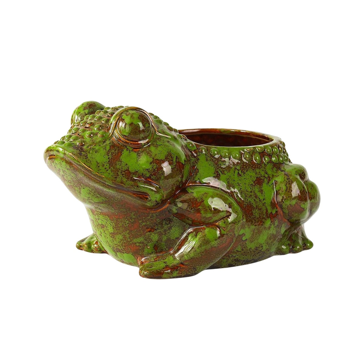 17" Hand Painted Ceramic Frog Planter "Rayne"