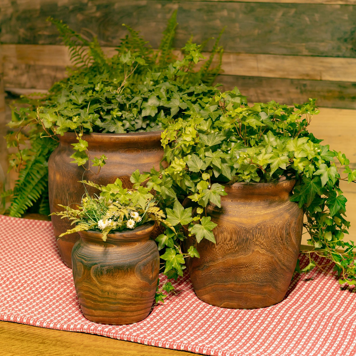 Three round wooden planters filled with leafy greenery and small flowers on a patterned cloth.