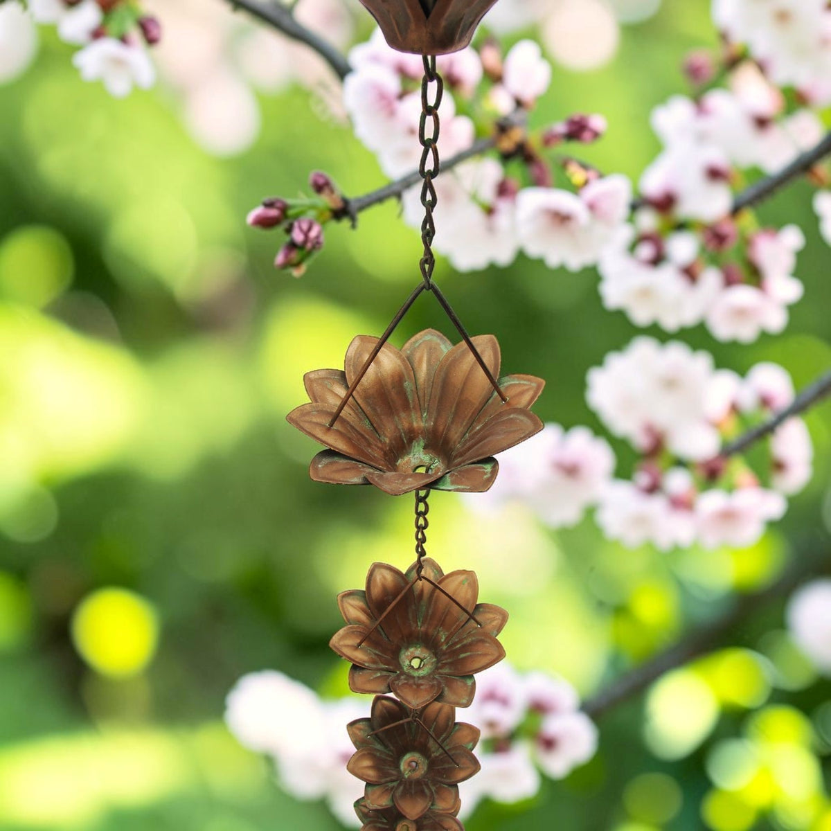 View beneath the rain chain, showing flower-shaped cups linked by short chains.