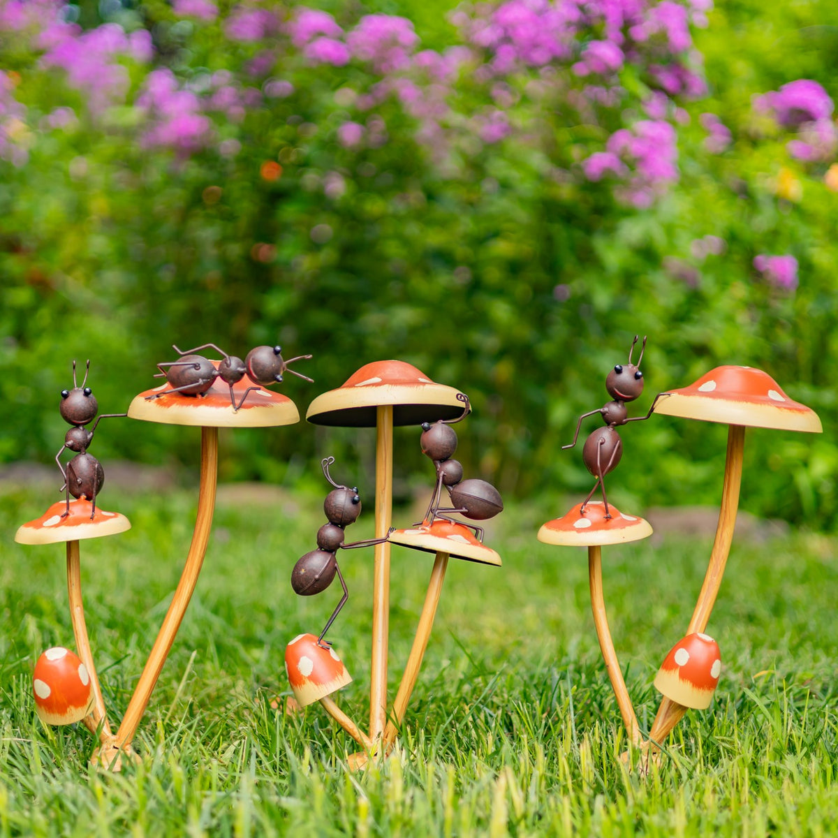 Set of 6 Assorted Funny Ants on Iron Mushroom Garden Stakes