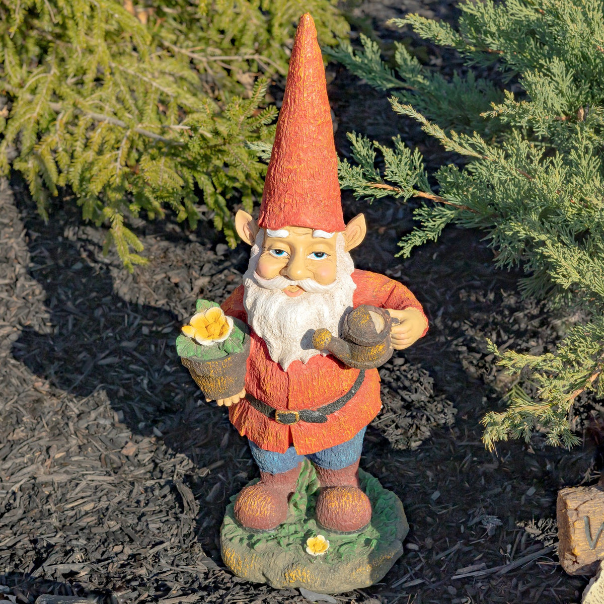 Full view of the gnome statue standing on a green base among dark mulch and evergreen branches.