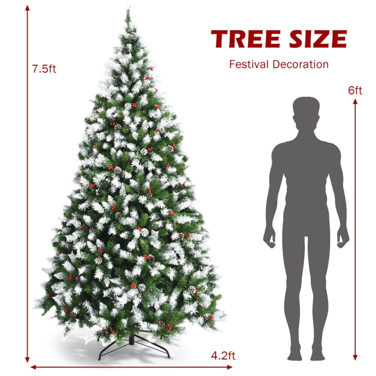 Snow-flocked Christmas tree beside a height and diameter size graphic