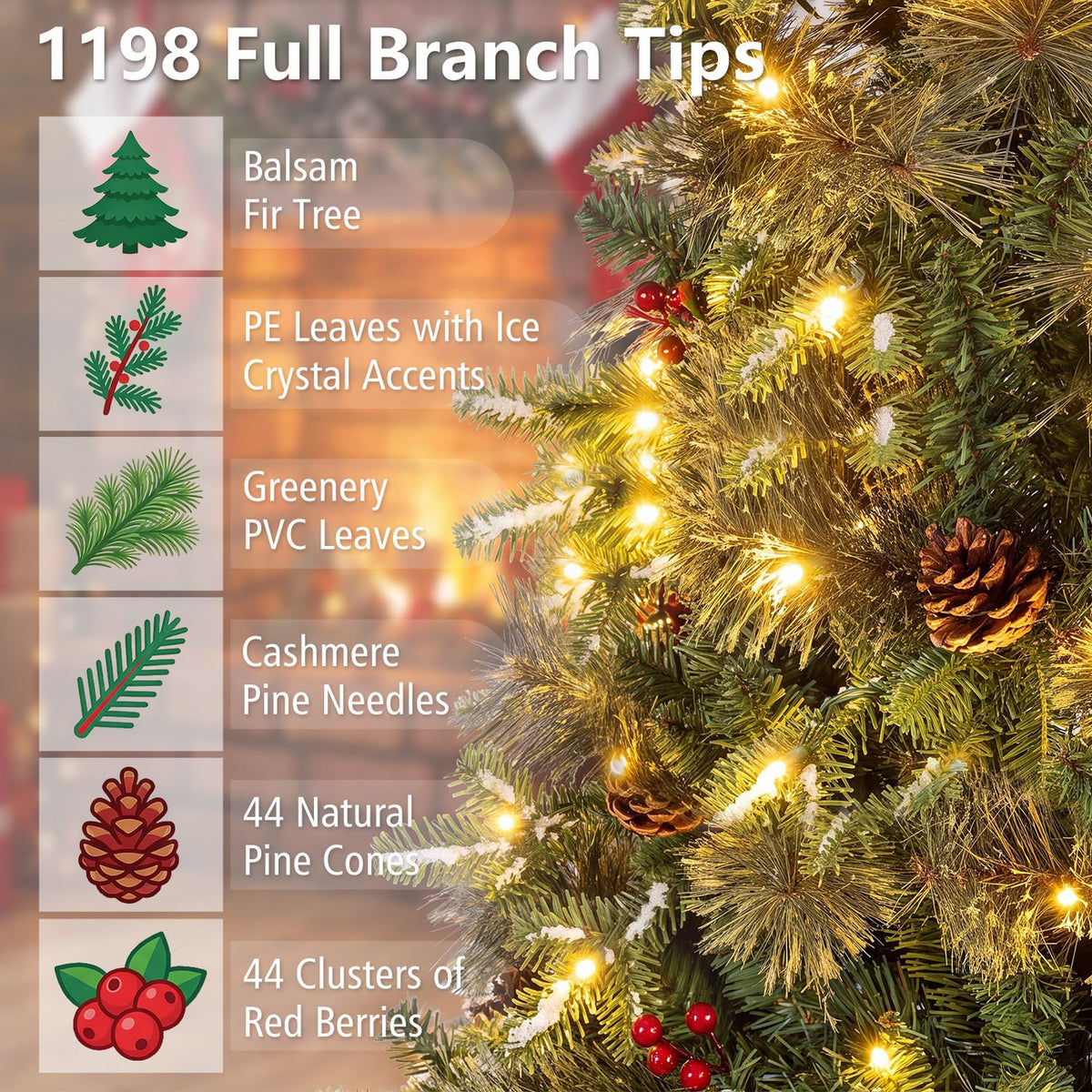 Close view of a lit evergreen tree with pinecones and red berries beside illustrations of its branch types.