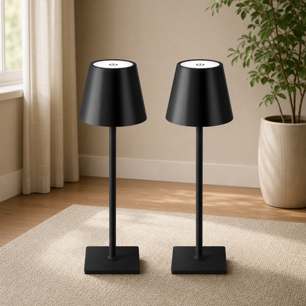 Pair of black cordless table lamps on a carpeted floor near a window and potted plant, angled front view