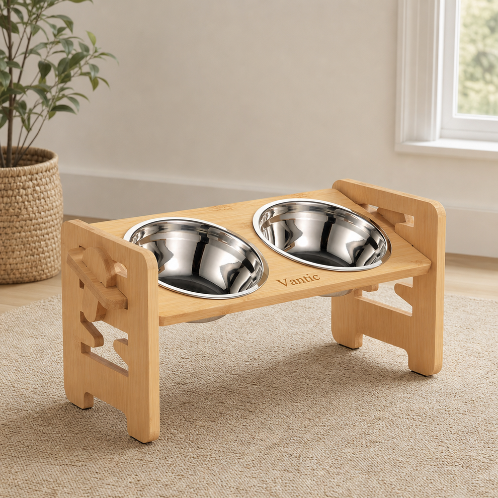 Adjustable Raised Dog Bowl Stand with Stainless Bowls — Visit Furniture centered in a warm neutral furnished room