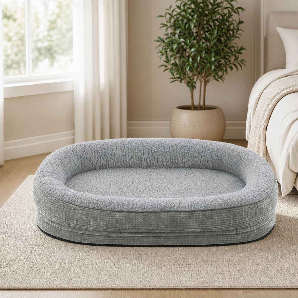 Orthopedic Dog Bed with 360° Bolster centered in a warm neutral furnished room