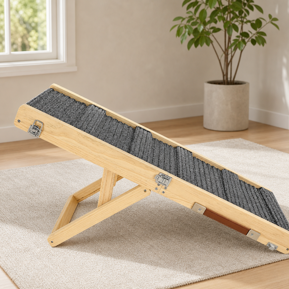 Light wood foldable pet ramp with dark grey ribbed fabric surface, angled side view on a carpeted floor near a potted plant