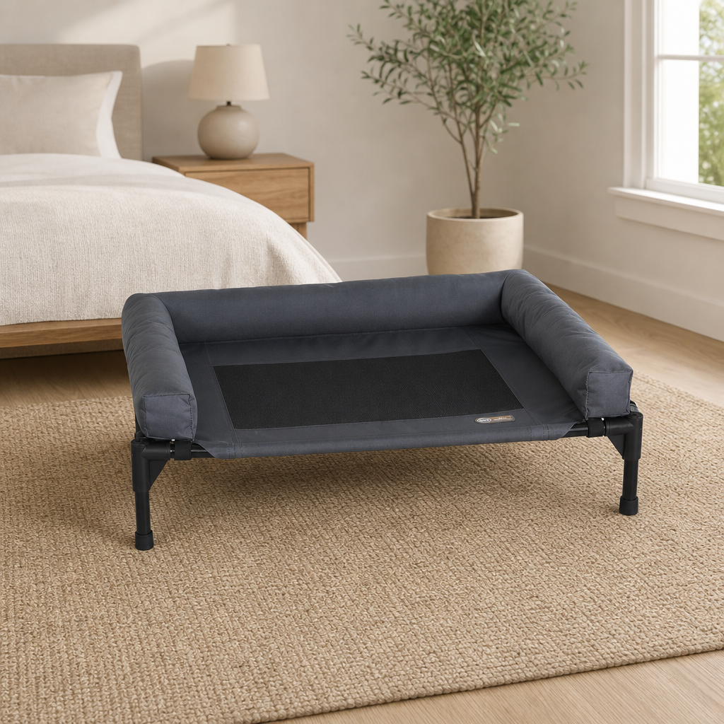 Original Bolster Pet Cot Elevated Dog Bed — Removable Bolster, Charcoal/Black Mesh centered in a warm neutral furnished room
