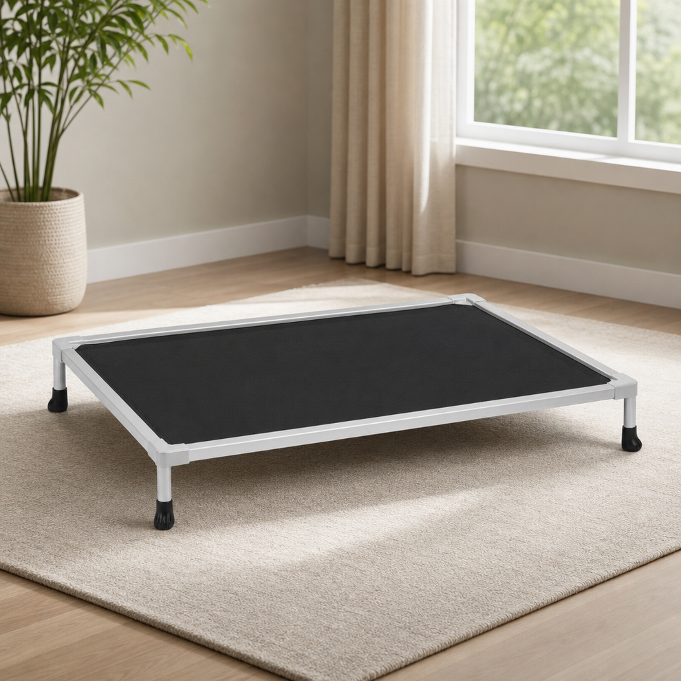 Elevated Dog Bed — Aluminum Frame, Teslin Mesh, Chew-Resistant Edge centered in a warm neutral furnished room