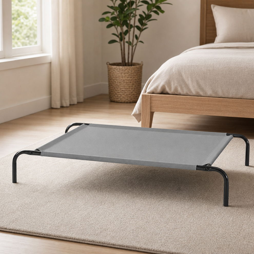 Elevated Dog Bed — Breathable Mesh on Iron Frame, Multiple Sizes centered in a warm neutral furnished room