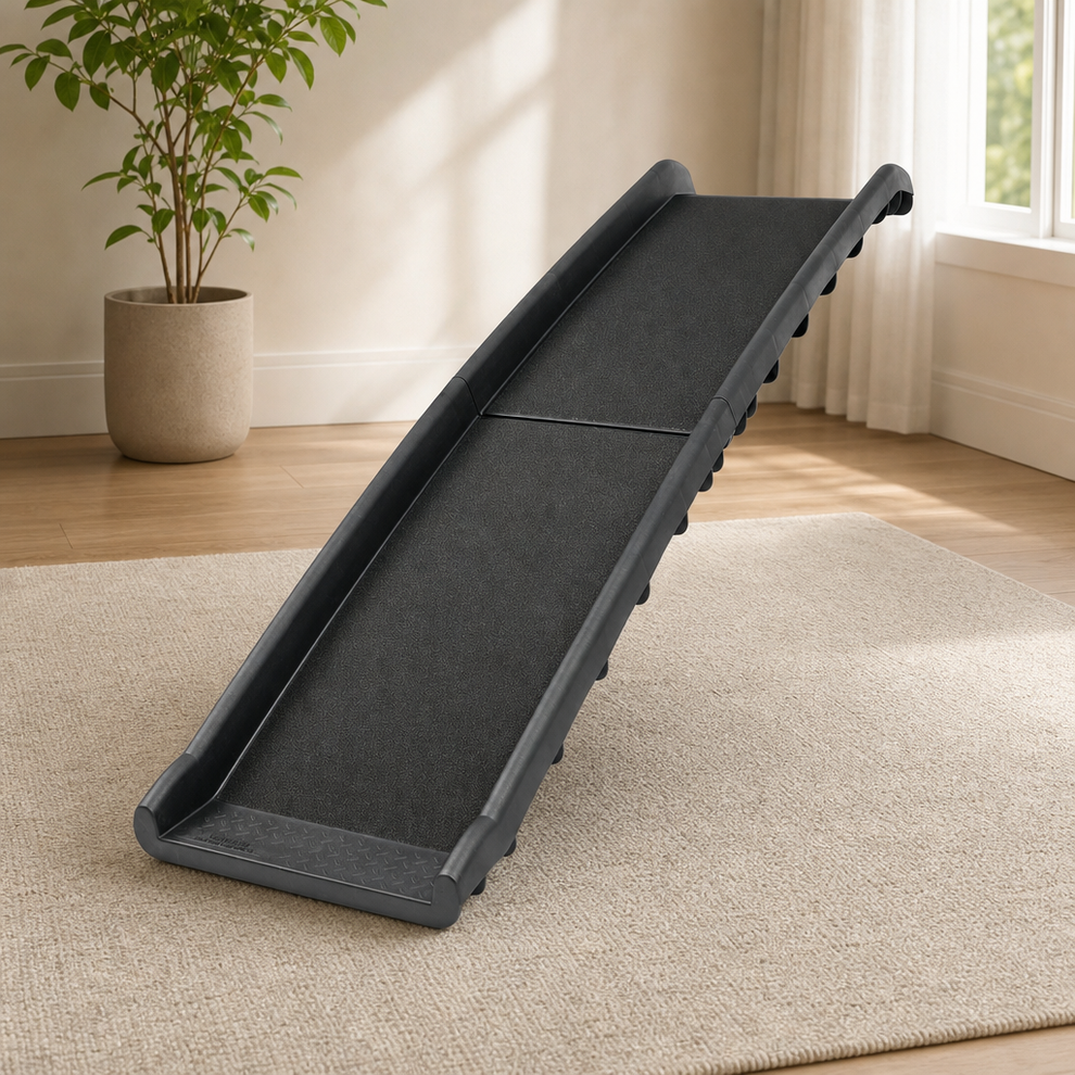 Folding Dog Ramp 62 in — 150 lb Capacity, Folds for Travel centered in a warm neutral furnished room
