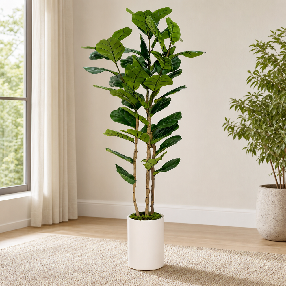 6 ft Artificial Fiddle Leaf Fig Tree with White Nursery Pot centered in a warm neutral furnished room