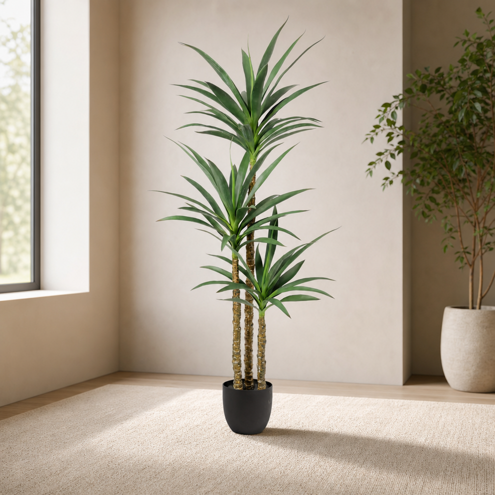 Artificial Agave Tree — 5.3 ft, 3 Trunks, Potted Polyester Leaves centered in a warm neutral furnished room